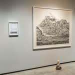 Shi Jin-Hua, The Yoga Tree, 1994-1996