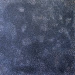 Kathleen Petyarre, Arnkerrthe - the Thorny or Mountain Devil Lizard, 2009