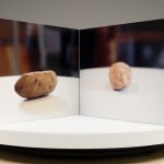 Lucas Blalock, Film-Object (Potato), 2020