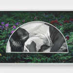 Widline Cadet, Lili Pad, 2023