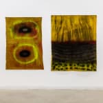 Emma Larsson, Wilderness, 2022