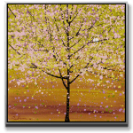 Simon Bull, Gilded Grove, 2025