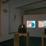 Birds of Paradise (Installation)