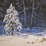 Oil on linen painting of a pine tree in snowy woods by slate gray gallery artist Julee Hutchison
