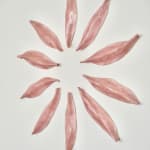 Pink Ceramic petals that can be arranged in multiple ways by slate gray gallery artist Angela Okajima-Kempinas