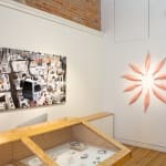 Pink Ceramic petals that can be arranged in multiple ways by slate gray gallery artist Angela Okajima-Kempinas