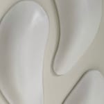 Ceramic petals that can be arranged in multiple ways by slate gray gallery artist Angela Okajima-Kempinas