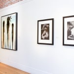 Fran J Nagy, Big Dreams 1, 2021