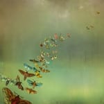 Archival Inkjet print of Happiness by Slate Gray Gallery artist Maggie Taylor