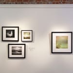 Archival Inkjet print of Happiness by Slate Gray Gallery artist Maggie Taylor installed in the gallery