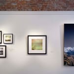 Archival Inkjet print of Happiness by Slate Gray Gallery artist Maggie Taylor installed on the gallery wall