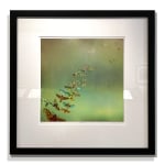 Archival Inkjet print of Happiness by Slate Gray Gallery artist Maggie Taylor in a black frame with shadows