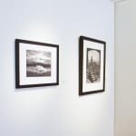 Silver Gelatin Print of Fringe Gallery Artist Jerry Uelsmann's Bears and Stairs