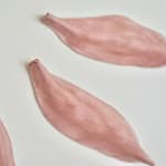 Pink Ceramic petals that can be arranged in multiple ways by slate gray gallery artist Angela Okajima-Kempinas