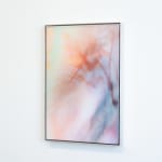 Damaris Athene, _deepcopy.004, 2025