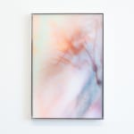 Damaris Athene, __deepcopy.008, 2025