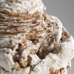 Michael Peterson, Coastal Objects Series, 2016
