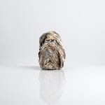 Aneta Regel, Raining stone (medium white), 2023
