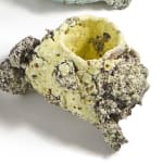 Aneta Regel, Raining stone (medium white), 2023