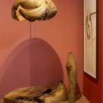 Michael Peterson, Coastal Objects Series, 2016