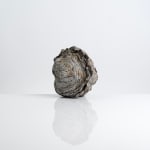 Aneta Regel, Raining stone (medium white), 2023
