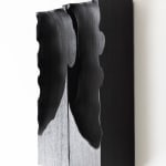 Michael Peterson, Coastal Objects Series, 2016