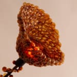 Ori Orisun Merhav, Insect Morphōsis, 2025