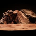 Nic Webb, Oak Vessel II, 2022