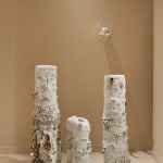 Aneta Regel, Ostry Obraz, 1999/2024