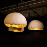 Nic Webb, Oak Vessel II, 2022
