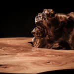 Nic Webb, Oak Vessel II, 2022