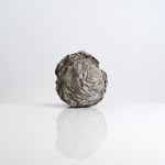Aneta Regel, Raining stone (medium white), 2023