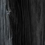 Aneta Regel, Raining stone (medium white), 2023