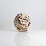 Aneta Regel, Raining stone (medium white), 2023