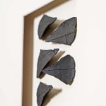 Halima Cassell MBE FRSS, Voyage