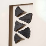 Halima Cassell MBE FRSS, Voyage