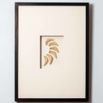 Halima Cassell MBE FRSS, Voyage