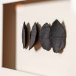 Halima Cassell MBE FRSS, Voyage