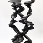Tony Cragg, Points of View, 2019