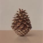 Comhghall Casey, Toy Tractor and Trailer (Tonka)