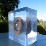 Bernadette Madden, Bronze Bog, 2024