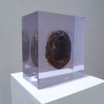 Bernadette Madden, Bronze Bog, 2024