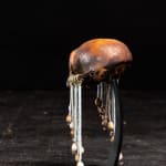 Tusk fragment carved in relief from the Kongo people of the Loango Region, DRC, 19-20th Century