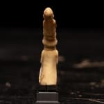 Thumbnail of additional image