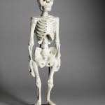 Standing Human Skeleton in Wood, South East Asia, early 20th Century, 1st half 20th Century