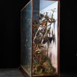 19th C Victorian Diorama of 34 taxidermy tropical birds,by Rowland Ward ,variously perched on branches and groundwork set within its...