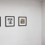 install photo of artwork in exhibition