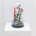 Caitlin McCormack, Windowbox, 2024