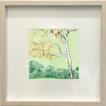 drawing in frame - sketch of a white tree over a green background