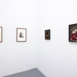 Install photo of Alison Friend's paintings hanging on a white wall